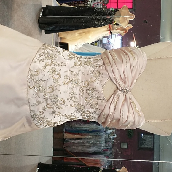 Posh Precious Formals Prom dress - Picture 3 of 6